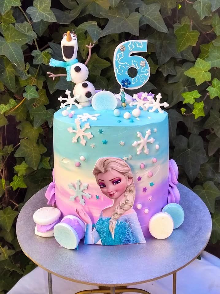 6th Birthday Cake Ideas for Girl