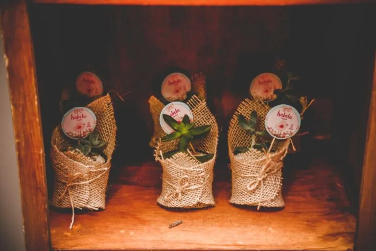 15 Real Eco-Friendly Birthday Return Gift Ideas